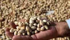 مستثنی شدن ۵ محصول آب بر از پرداخت عوارض یک درصدی