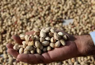 مستثنی شدن ۵ محصول آب بر از پرداخت عوارض یک درصدی
