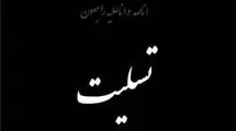 تسلیت انجمن منتقدان سینما به یکی از فعالان رسانه‌ای