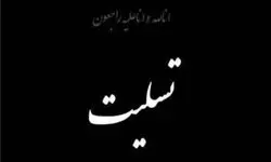 تسلیت انجمن منتقدان سینما به یکی از فعالان رسانه‌ای