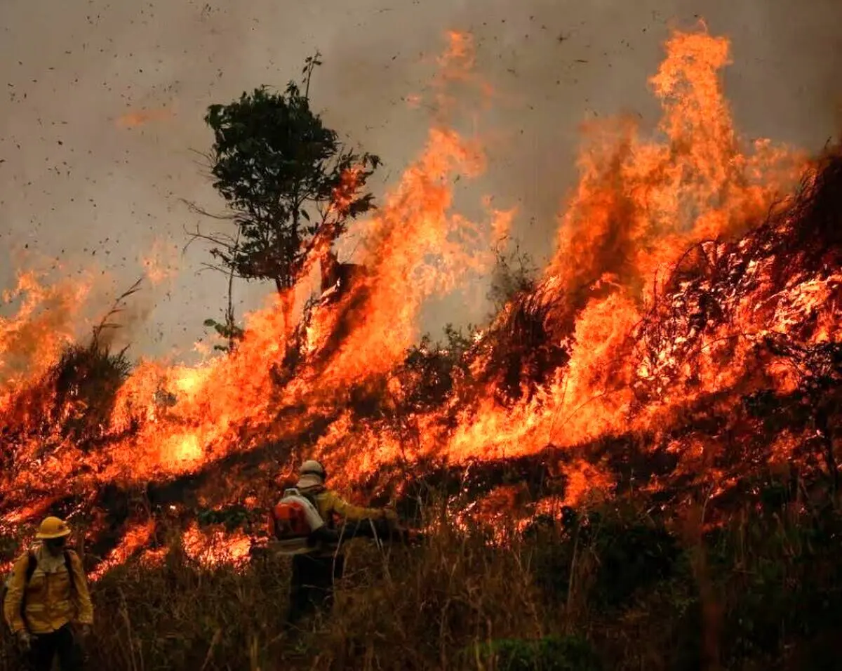 اعزام پنج فروند بالگرد و یک فروند هواپیمای ایلوشن برای مهار آتش سوزی الیت