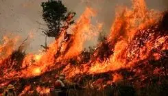 اعزام پنج فروند بالگرد و یک فروند هواپیمای ایلوشن برای مهار آتش سوزی الیت