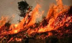 اعزام پنج فروند بالگرد و یک فروند هواپیمای ایلوشن برای مهار آتش سوزی الیت