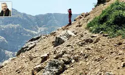 سرنوشت نامعلوم دامپزشک جهادی در ارتفاعات کفمه/ جست‌وجوها ادامه دارد