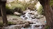 چشمه‌ی اسرارآمیز «قل‌قل»؛ زمزمه زمین در دل زاگرس