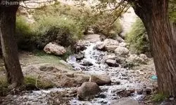 چشمه‌ی اسرارآمیز «قل‌قل»؛ زمزمه زمین در دل زاگرس