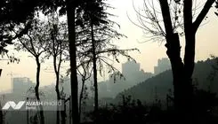 تهران صدرنشین آلودگی هوا در جهان شد