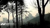 تهران صدرنشین آلودگی هوا در جهان شد