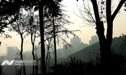 تهران صدرنشین آلودگی هوا در جهان شد