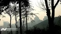 تهران صدرنشین آلودگی هوا در جهان شد