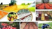 افزایش قیمت محصولات کشاورزی در سال جاری