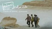 از جاده‌های «علت مرگ نامعلوم» تا اسکار