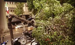 هواشناسی استان تهران برای یکشنبه (۱۵ شهریور) اطلاعیه داد