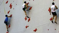 حضور نمایندگان سنگنوردی ایران در کادر اجرایی بازی‌های آسیایی ناگویا