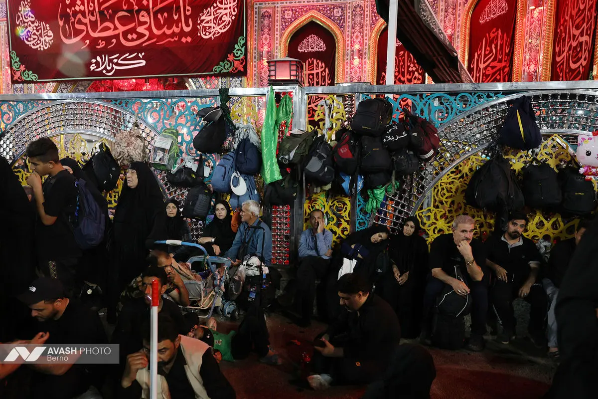 زائران اربعین در مسیر نجف به کربلا