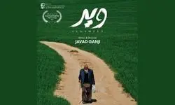 ویر به جشنواره مورد تایید بفتا می‌رود