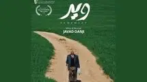 ویر به جشنواره مورد تایید بفتا می‌رود