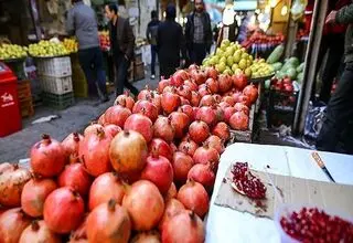 وضعیت بازار میوه ویژه شب یلدا روشن شد
