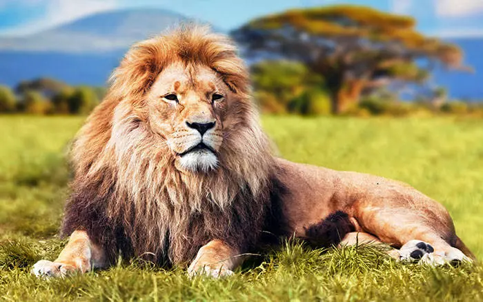 لحظاتی هولناک از زندگی در حیات وحش