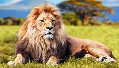 لحظاتی هولناک از زندگی در حیات وحش