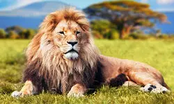 لحظاتی هولناک از زندگی در حیات وحش