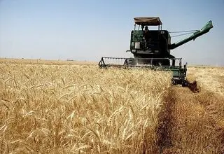 مشکلی در تامین نان مردم نداریم+فیلم