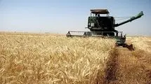 مشکلی در تامین نان مردم نداریم+فیلم