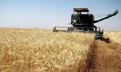 مشکلی در تامین نان مردم نداریم+فیلم