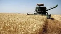 مشکلی در تامین نان مردم نداریم+فیلم