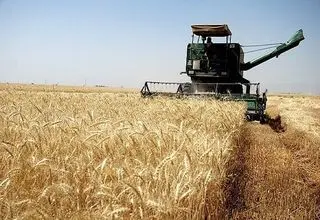 مشکلی در تامین نان مردم نداریم+فیلم