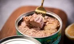 مصرف زیاد ماهی تُن این بلاها را بر سرتان می آورد!