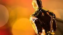 21 کشور فیلم‌هایشان را به اسکار معرفی کردند/ از تونس و سوئد تا ژاپن و ایسلند