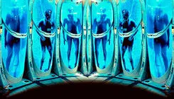 در رویای زندگی دوباره، منجمد می‌شوند