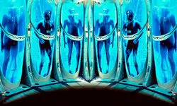 در رویای زندگی دوباره، منجمد می‌شوند