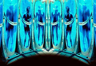 در رویای زندگی دوباره، منجمد می‌شوند