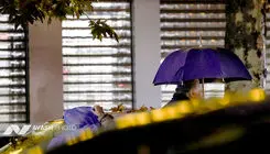 پربارش‌ترین‌ نقطه کشور اعلام شد