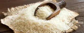 قیمت برنج چرا سر به فلک زد؟