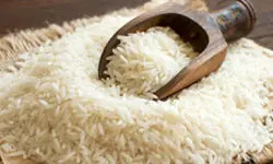 به دلیل اعلام آمار غلط یک میلیون تن کمبود برنج داریم