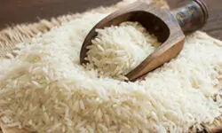 قیمت برنج ایرانی و خارجی در بازار هر کیلوگرم ۳۴۰ تا ۵۱۰ هزار تومان شد