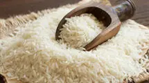 کاهش ۳۰ تا ۳۵ درصدی قیمت برنج شمال در بازار