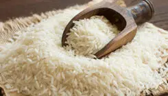 برنج در استان های شمالی کیلویی چند به فروش می رسد؟