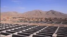 جست‌وجوی برای گنج در بهشت زهرا