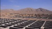 جست‌وجوی برای گنج در بهشت زهرا