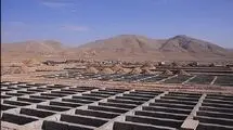 جست‌وجوی برای گنج در بهشت زهرا