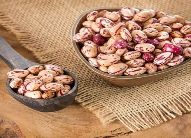میوه با ۱۳۹ درصد و لوبیاچیتی با  ۲۰۲ درصد رشد قیمت، رکورد گرانی را زدند