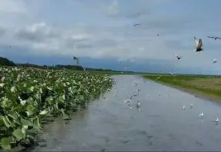 ثبت ۲۳۳ تالاب در فهرست رسمی آیین‌نامه قانون حفاظت از تالاب‌ها