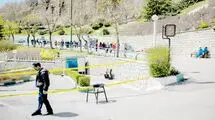 قمه‌کشی هولناک در پارک نهج‌البلاغه