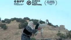 مستند «بال‌های آوازخوان»  در سه جشنواره جهانی شرکت می‌کند