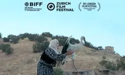 مستند «بال‌های آوازخوان»  در سه جشنواره جهانی شرکت می‌کند