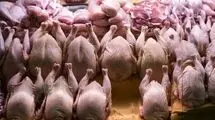 هیچ مشکلی در خط تولید مرغ گوشتی وجود ندارد